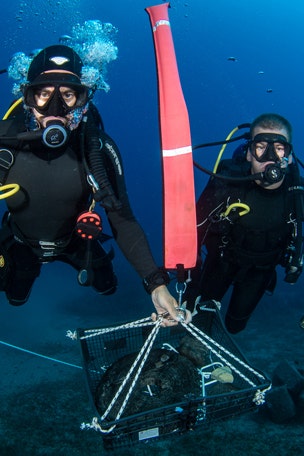 Ancient Greek treasures discovered
