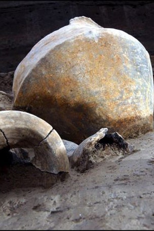 SHOCKING Pompeii discovery