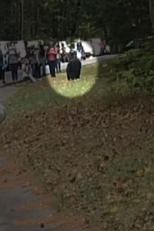 Tourists slammed for dangerous encounter