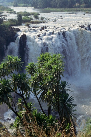 Nile discovery stuns experts