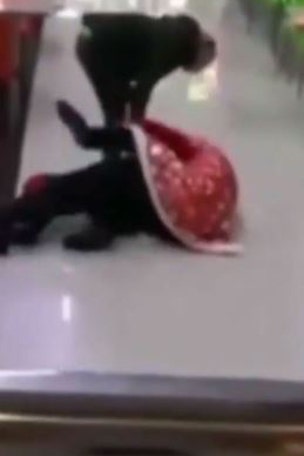 Santas BRAWL over ‘territory dispute’
