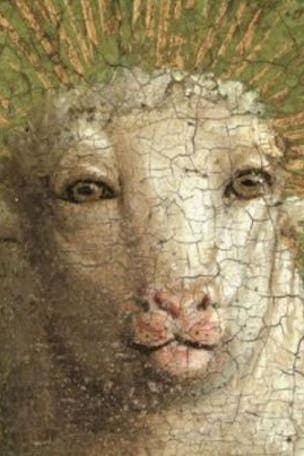 'Lamb of God' human-like face STUNS