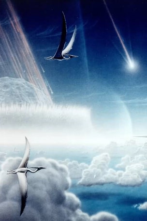 STUNNING dinosaur discovery