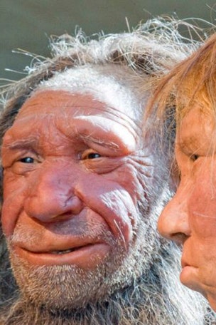 Stunning Neanderthal DISCOVERY