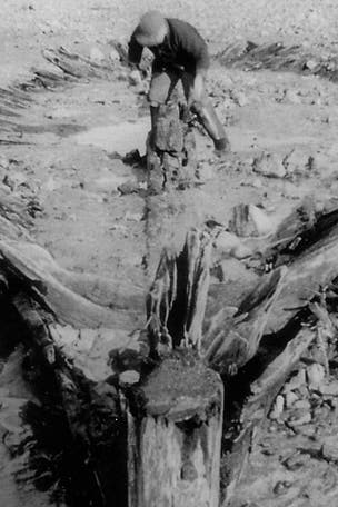 Mysterious wreck reveals secrets