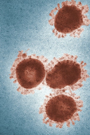 Giant viruses spew their DNA through a 'stargate' and now scientists know what triggers them.