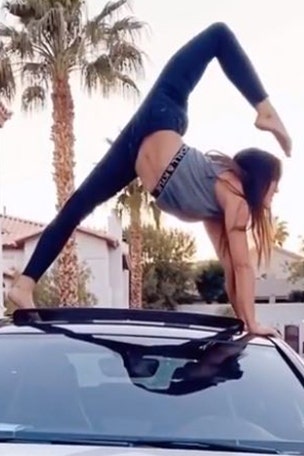 How an ACROBAT works from home
