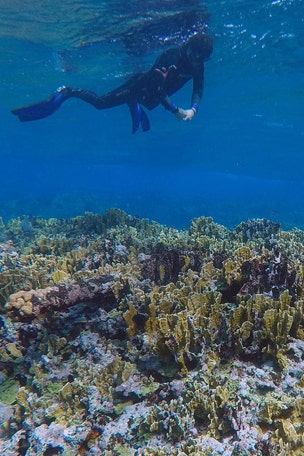Mysterious shipwreck reveals SECRETS