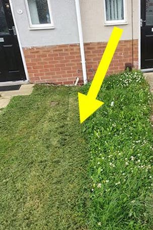 Neighbor's 'glorious pettiness' goes VIRAL