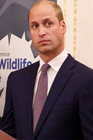 The TRUTH about Prince William