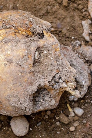 Irish chieftain MYSTERY continues