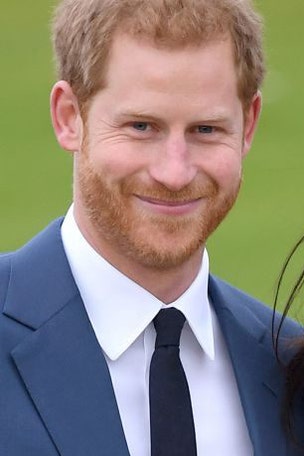 Harry: I'm 'UNBELIEVABLY fortunate'