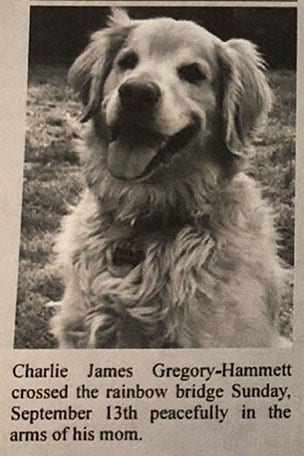 Dog's obit goes VIRAL