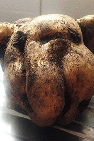 Why POTATO cheered up family