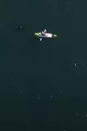 Fisherman SHOCKED by encounter