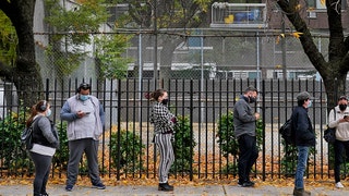 Voters along fence