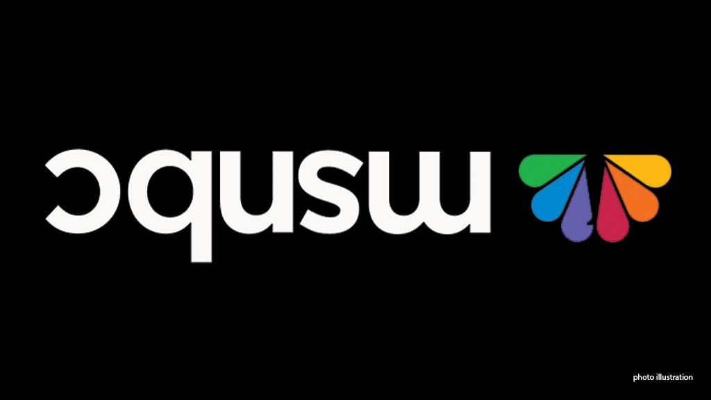 MSNBC star was analyst by day, speechwriter for Joe by night: report