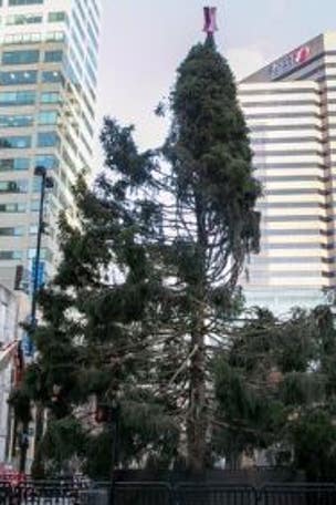 Christmas tree SLAMMED by residents