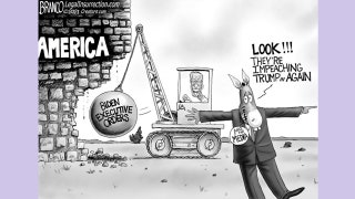 Political cartoon of the day