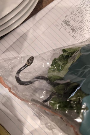 SNAKE found in lettuce bag