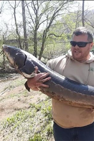 Angler reels in 30-YEAR-OLD fish