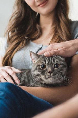 Pets decide THIS for owners