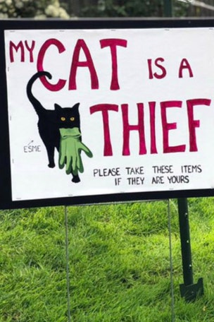 Woman's warning about her CAT