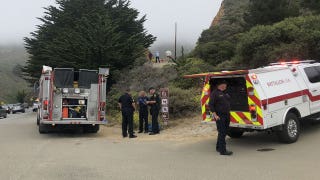 California swimmer, 35, bitten by great white shark; in ‘serious’ condition: reports