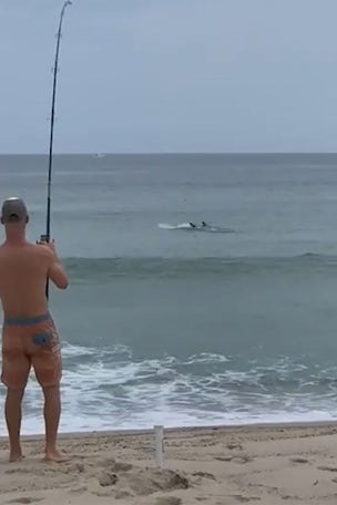 Fisherman catches great white SHARK