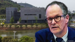 WHO says COVID-19 origin needs more studies as top expert's lab 'concern' made public for first time
