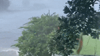 windy gif