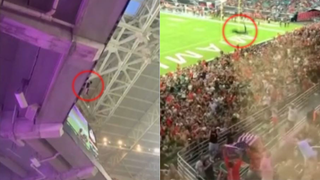 Miami couple who helped save falling cat bring American flag to every game: report