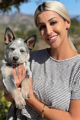 Puppy DIES from rat disease