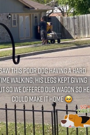Neighbors give WAGON to struggling dog