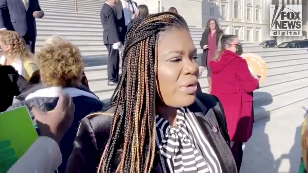 WATCH: Far-left Dem says she 'shouldn't even have to ask' for access to abortion