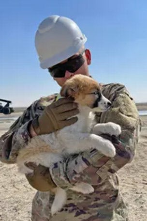 Soldier tries to bring puppy HOME