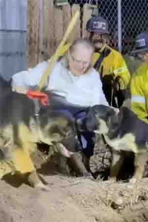 Puppies rescued from TORTOISE
