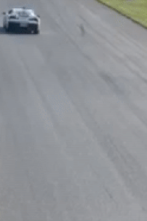 Fastest driver in REVERSE