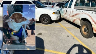 Police get major surprise trying to catch 'reckless driver' behind parking lot chaos