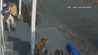 Video shows mom saving young daughter from rabid animal attack