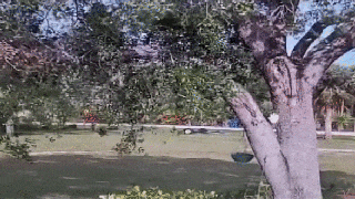 Video shows truck crashing, spilling more than 1,300 gallons of cooking oil