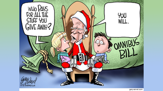 Political cartoons of the day