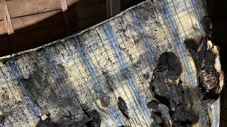 Dog in England sets house on fire after turning on hairdryer