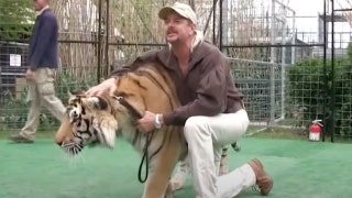 Bill headed to Biden’s desk could rock future of ‘Tiger King’ franchise