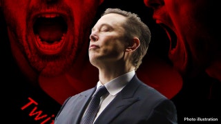 Liberals blow their tops after Musk releases bombshell Twitter files