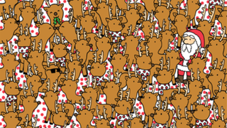 Christmas brain teaser: Can you find Rudolph among the reindeer?