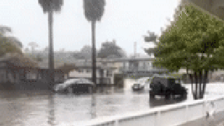Man seen surfing behind a car after massive neighborhood flooding