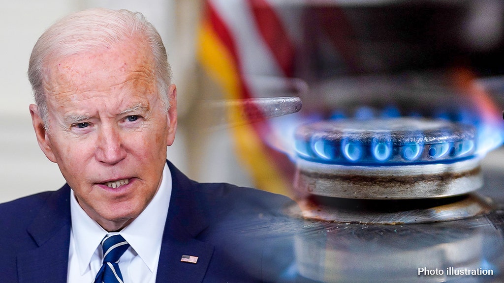 Dem crosses party lines to stop Biden's gas stove crackdown in its tracks