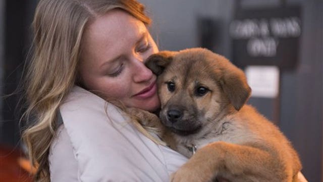 Sex appeal or puppy ads: Which is more successful?