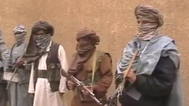 White House claims Taliban is not terror group but ‘armed insurgency’